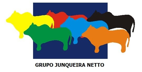 Grupo Junqueira Netto